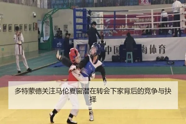 多特蒙德关注马伦夏窗潜在转会下家背后的竞争与抉择